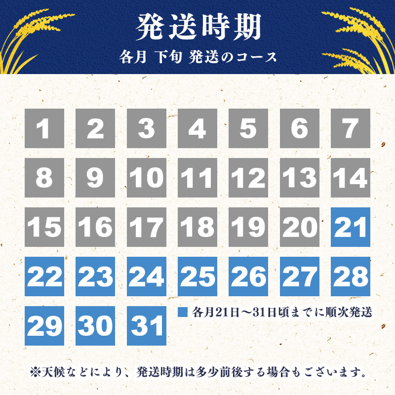 ＜2026年11月下旬開始＞【令和8年産 3回定期便】 はえぬき計15kg！お米 定期便（5kg×3回）！清流寒河江川育ち 山形産はえぬき 2026年産　044-C-JA021-202611下 2026年11月下旬開始
