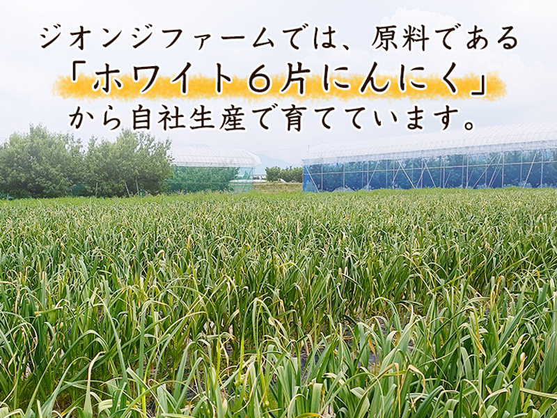 こだわり農家の「発酵熟成 黒にんにく」500g 山形県産　013-G-JF011