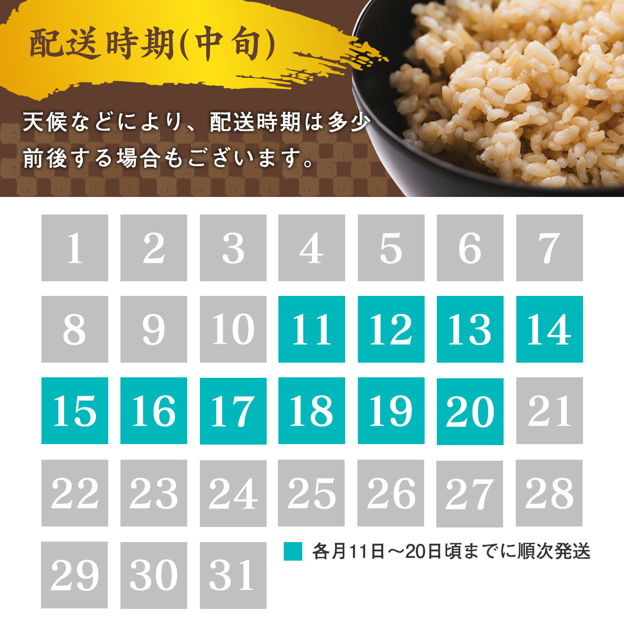 《先行予約》【令和8年産】《6回定期便：10月開始毎月コース》 はえぬき 玄米 合計60kg （10kg（5kg×2袋）× 6回）  山形県産 【 新米 】  120-C-JF017-毎月-R8 6回定期便：10月開始毎月コース
