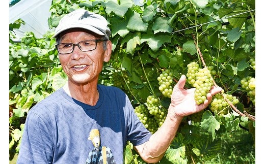 白ワイン キングセルビー シャルドネ 辛口 2本セット（720ml×2本） KING SELBY　018-E-MM045