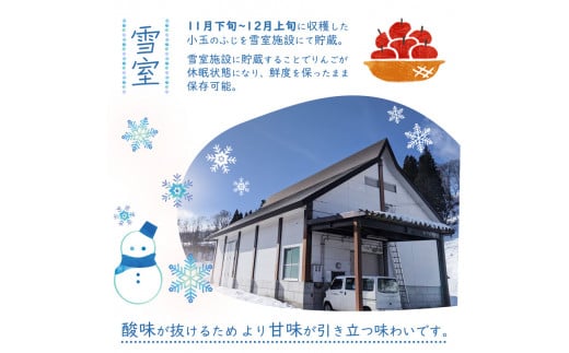 雪室りんご 3kg「樹上完熟 ふじりんご」 小玉サイズ 山形産 【2026年1月中旬頃～3月頃 発送予定】 2025年産 令和7年産 山形県　013-B-NG001 雪室りんご 3kg