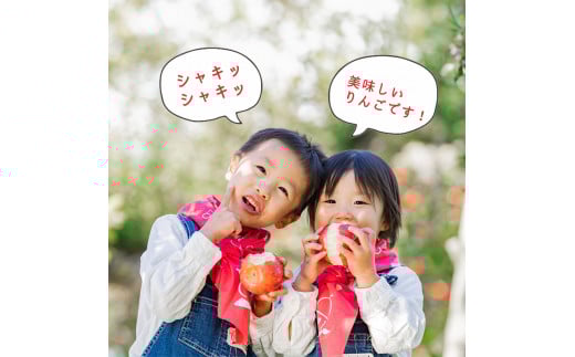 樹上完熟 りんご（ふじりんご） 3kg 秀品  2025年産 令和7年産 山形県産【2025年12月頃発送】　012-B-NG007 3kg