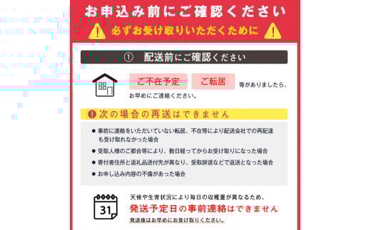 《訳あり》ご家庭用 ふじりんご 10kg 山形県産 2025年産 令和7年産 【2025年12月頃より順次発送予定】（フードロス対応・食品ロス・規格外・SDGs・生産者支援）　020-B-NG010 10kg