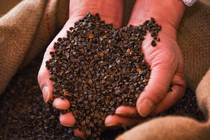 製麺所こだわりの 山形名物 「冷たい肉そば（スープ・鶏肉付）」 計6人前セット（2人前×3袋） 大沼製麺所 ／ お取り寄せ 備蓄 小分け 個包装 保存 便利 ご当地 グルメ 土産 特産 名物 年越し 蕎麦 乾麺 東北 山形県　013-F-ON004