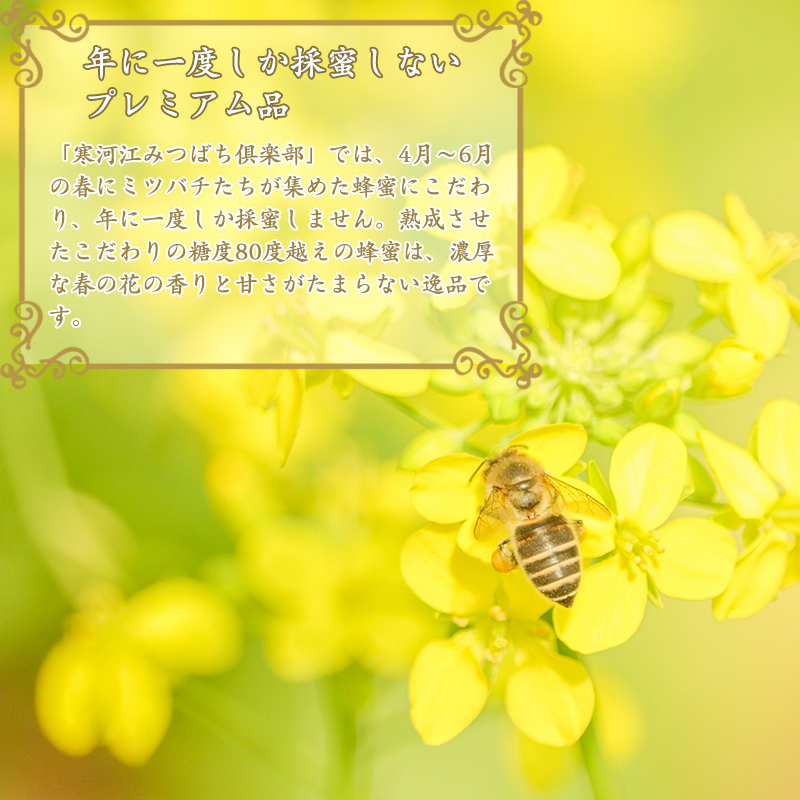 天然熟成 純粋はちみつ（百花蜂蜜） 非加熱 山形県産 合計1kg（500g×2本） 【抗生物質・保存料・添加物なし】　017-G-OT004 1kg（500g×2本）