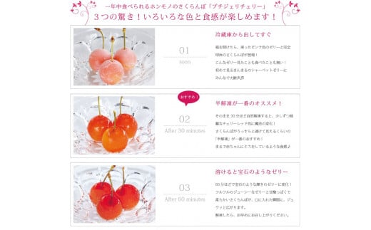 さくらんぼの宝石!プチジェリチェリー 8個入×2箱セット　012-G-SF002 ２箱