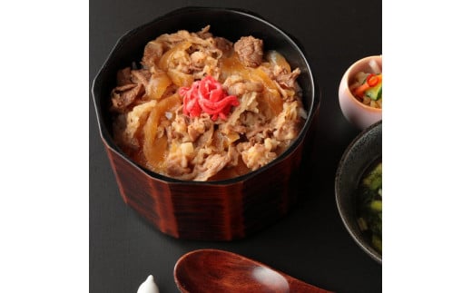 【45営業日以内配送】国産牛 牛丼の具&煮込みハンバーグ 満足の9個セット 《こだわりソースと玉ねぎが旨い簡単惣菜》 湯煎で温めるだけ　014-D-YL008