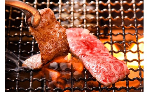 【45営業日以内配送】《焼肉店を直営する精肉工場からお届け》黒毛和牛「山形牛」焼肉用（肩・モモ・バラ お任せ）1kg（500g×2パック）　036-D-YL027 1kg（500g×2パック）