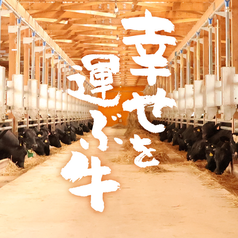 【45営業日以内配送】幸せを運ぶ牛《幸生牛》希少牛 ハンバーグ 150g×4個　008-D-YL056 4個