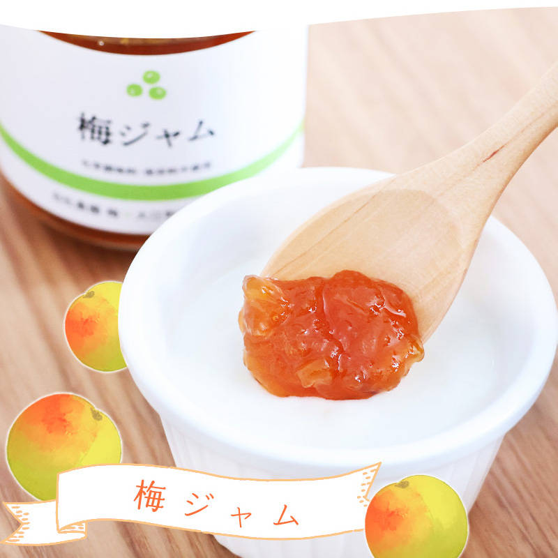 【障がい者支援】山形のフルーツジャム 2種（さくらんぼ・谷沢梅）・こだわりのドレッシング・焼肉のたれ 計4品 詰め合わせ ／ トースト パン ヨーグルト サラダ 朝食 野菜 健康 調味料 ランチ イタリアン ギフト セット 福祉 東北 山形県 寒河江市 【就労継続支援B型事業所支援品】　010-G-AJ001