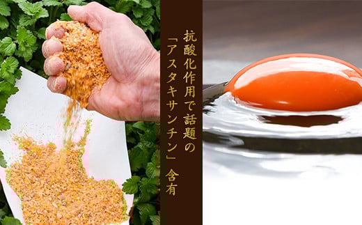 【2026年2月10日頃発送分】濃厚たまご 「美幸卵」 計50個 （割れ保証10個含む）山形産 ※配送不可 沖縄・離島【 お取り寄せ 国産 玉子 たまご タマゴ エッグ 新鮮 TKG ごはん ご飯 すき焼き すきやき パティシエ 御用達 スイーツ 朝食 お菓子 東北 山形県 寒河江市 板垣養鶏場 】　013-G-BK006-02