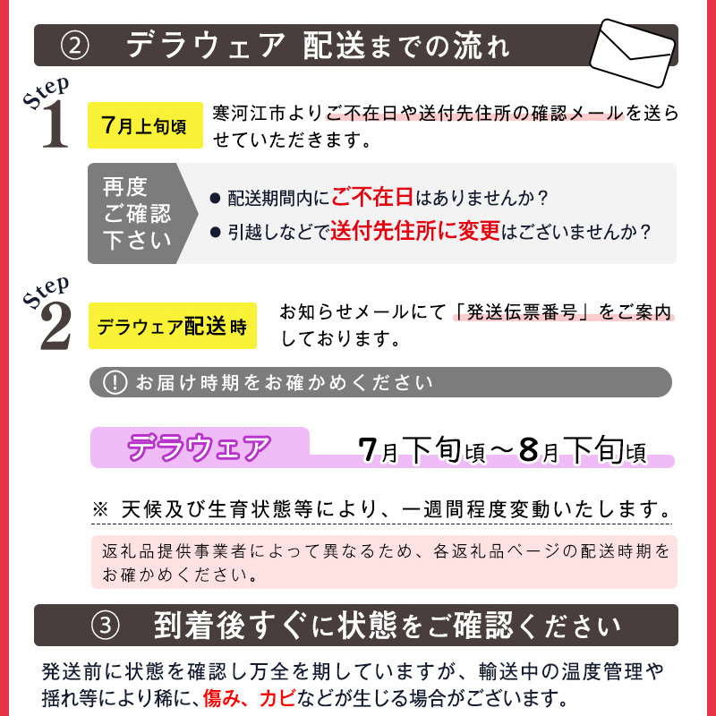 《先行予約》 令和8年産 種なし ぶどう デラウェア 秀品 2kg (L - 2Lサイズ) 山形県産【2026年7月下旬頃から8月上旬頃発送予定】 ※配送不可 沖縄・離島　019-B-CS007 2kg