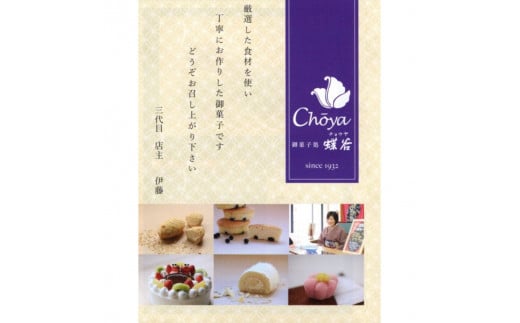 こだわりクリームの「生パイ」10個　008-G-CY001