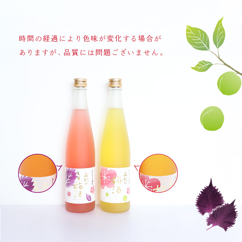 《 梅酒飲み比べ 》 山形の梅酒と山形のしそ梅酒 （500ml×2本）寒河江市産白加賀梅を使用 ／ 梅酒 飲み比べ しそ梅酒 うめ 白加賀梅 飲み比べセット リキュール 赤しそ 山形 寒河江　0100-E-FR022