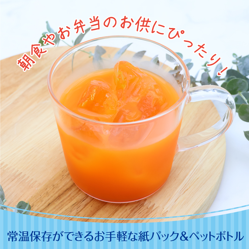 伊藤園 充実野菜 緑黄色野菜ミックス 紙パック 200ml 48本 022-G-IT012 充実野菜 緑黄色野菜ミックス 紙パック 200ml 48本