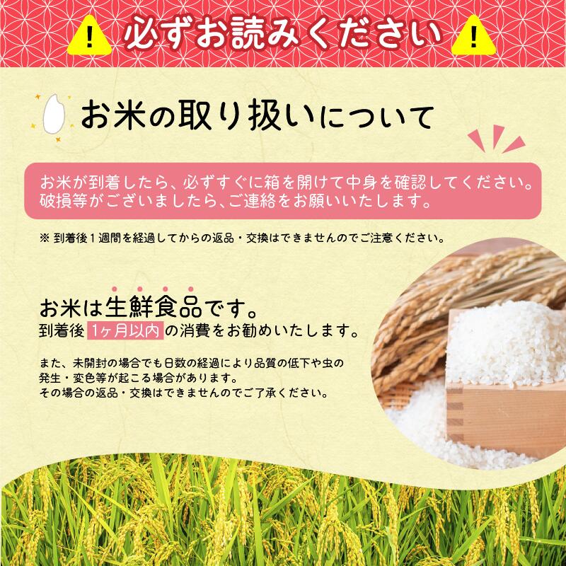 令和7年産 清流寒河江川育ち はえぬき 7kg（5kg×1袋、2kg×1袋） 山形県産 2025年産 精米 7キロ　016-C-JA054 7kg