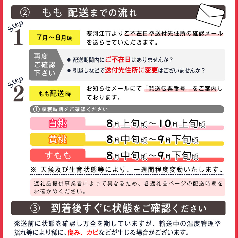 《先行予約》令和8年産 山形の黄桃 秀品 3kg（8 - 16玉） 品種おまかせ 2026年産 山形県産【2026年8月中旬頃から9月下旬頃発送予定】※ 配送不可 沖縄・離島　016-B-MM018 3kg（8 - 16玉）