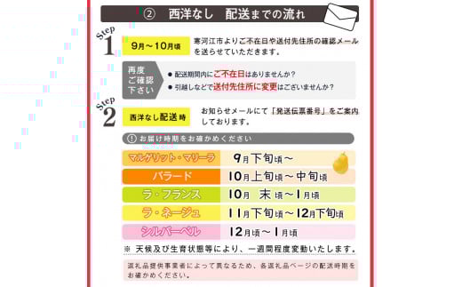 洋梨 「追熟 ラ・フランス」 3kg（8 - 11玉） 秀品 山形セレクション認定品 山形産 【2025年10月末頃から2026年1月頃発送予定】　012-B-MM025 3kg（8 - 11玉）