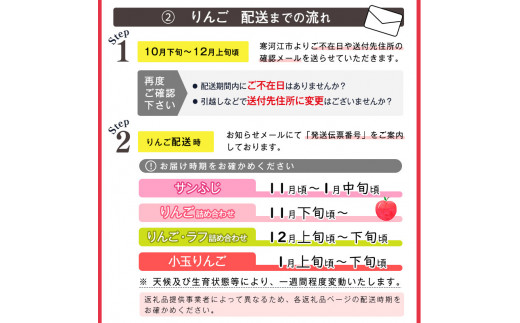 【りんご】「サンふじ」5kg 秀品 （16 - 20玉）山形産 秀品 山形産 【2025年12月上旬頃から2026年1月中旬頃発送予定】　018-B-MM028 5kg （16 - 20玉）