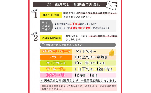 洋梨 「追熟 シルバーベル 」 3kg 秀品 （6 - 10玉） 秀品 山形産【2025年12月頃から2026年1月頃発送予定】　012-B-MM031 3kg （6 - 10玉）