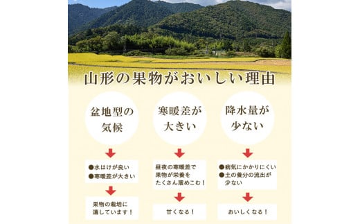 サンふじりんご ラ・フランス詰合せ 2.5kg 【2025年11月頃から2025年12月中旬頃発送予定】 012-B-MM072 詰合せ 2.5kg