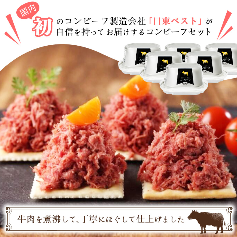 インドカリーツイン(10袋)とコンビーフ(10缶)セット   032-G-NB006