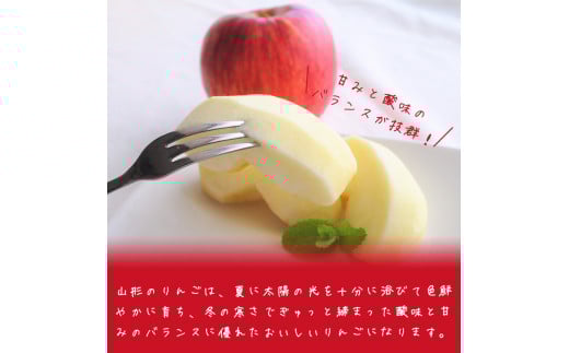雪室りんご 5kg「樹上完熟 ふじりんご」 小玉サイズ 山形産 【2026年1月中旬頃～3月頃 発送予定】 2025年産 令和7年産 山形県　020-B-NG002 雪室りんご 5kg