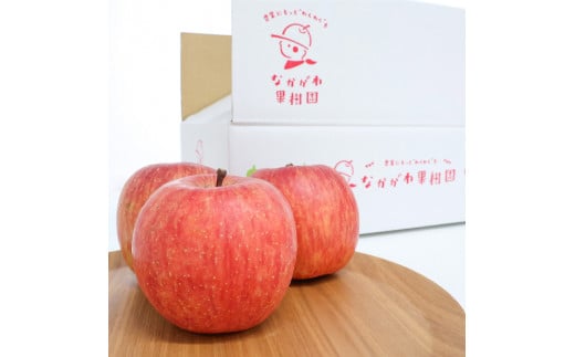 樹上完熟 りんご（ふじりんご） 3kg 秀品  2025年産 令和7年産 山形県産【2025年12月頃発送】　012-B-NG007 3kg