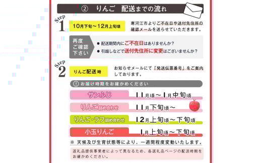 《訳あり》ご家庭用 ふじりんご 10kg 山形県産 2025年産 令和7年産 【2025年12月頃より順次発送予定】（フードロス対応・食品ロス・規格外・SDGs・生産者支援）　020-B-NG010 10kg