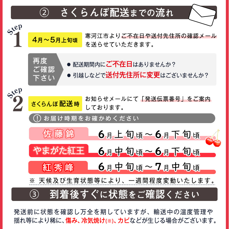 【先行予約】 令和8年産 さくらんぼ やまがた紅王 2Lサイズ以上 秀品 500g （500g×1パック） 2026年産 山形県産【2026年6月中旬頃～6月下旬頃発送予定】※配送不可 沖縄・離島　025-A-RF004