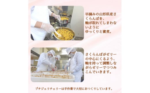 さくらんぼの宝石!プチジェリチェリー 8個入×2箱セット　012-G-SF002 ２箱