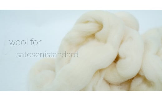 【ホワイト】《ウール100％》ニットキャップ （ユニセックス・男女兼用）　020-H-SS013-WH ホワイト