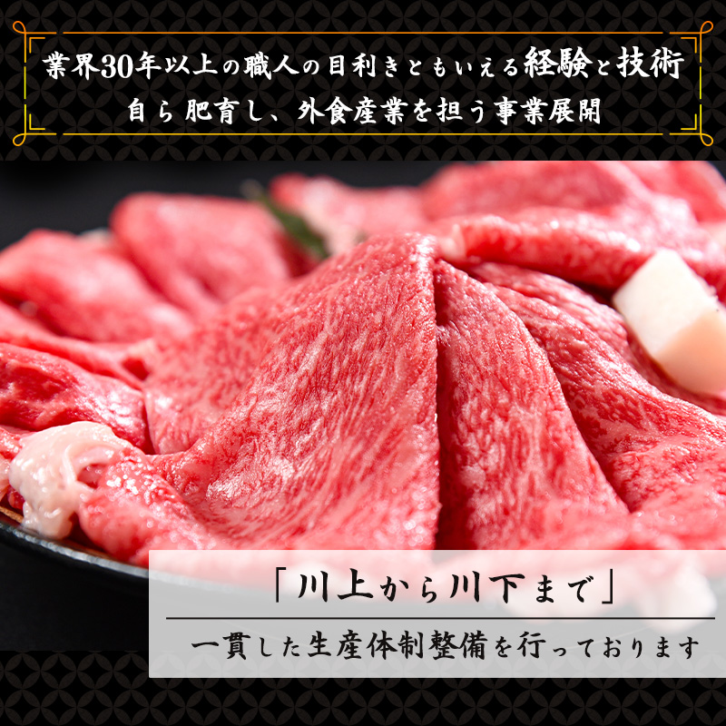 【45営業日以内配送】国産牛使用 煮込みハンバーグ（160g×8個）湯煎で温めるだけ 《こだわり製法のデミグラス》　014-D-YL009