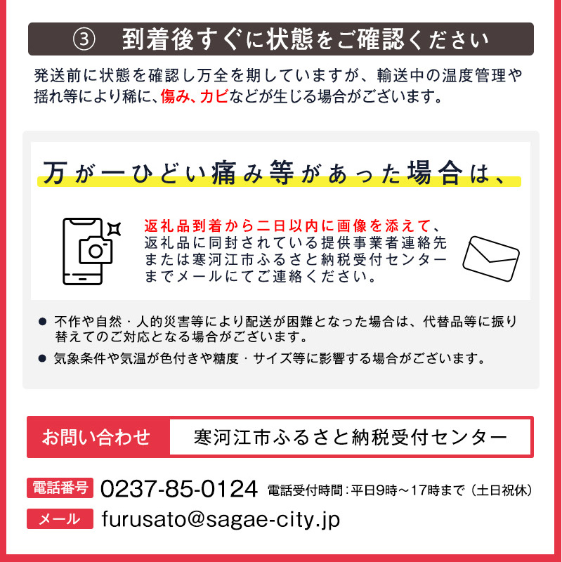 《先行予約》令和8年産 洋梨 ラ・ネージュ 2kg（5 - 10玉） 秀品以上 《化粧箱入り》 サイズおまかせ 山形県産 2026年産【2026年11月下旬頃から12月下旬頃発送予定】　012-B-AF006