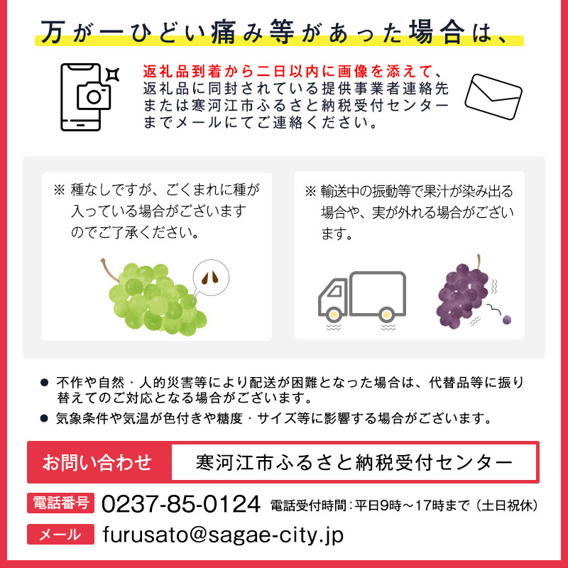 令和8年産 先行予約 ＜厳選＞ シャインマスカット 1.2kg以上（2～3房） 山形県産【2026年9月上旬頃～10月上旬頃発送予定】※配送不可 沖縄・離島　016-B-AF010 1.2kg以上（2～3房）
