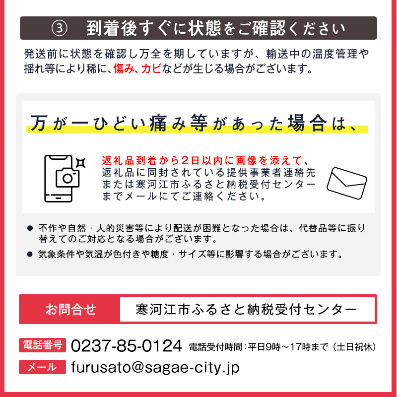 令和8年産 ラ・フランス 3kg 2L-3L 9 - 10玉 道の駅厳選 山形県産 【2026年10月下旬頃から11月下旬頃発送予定】　014-B-CS012