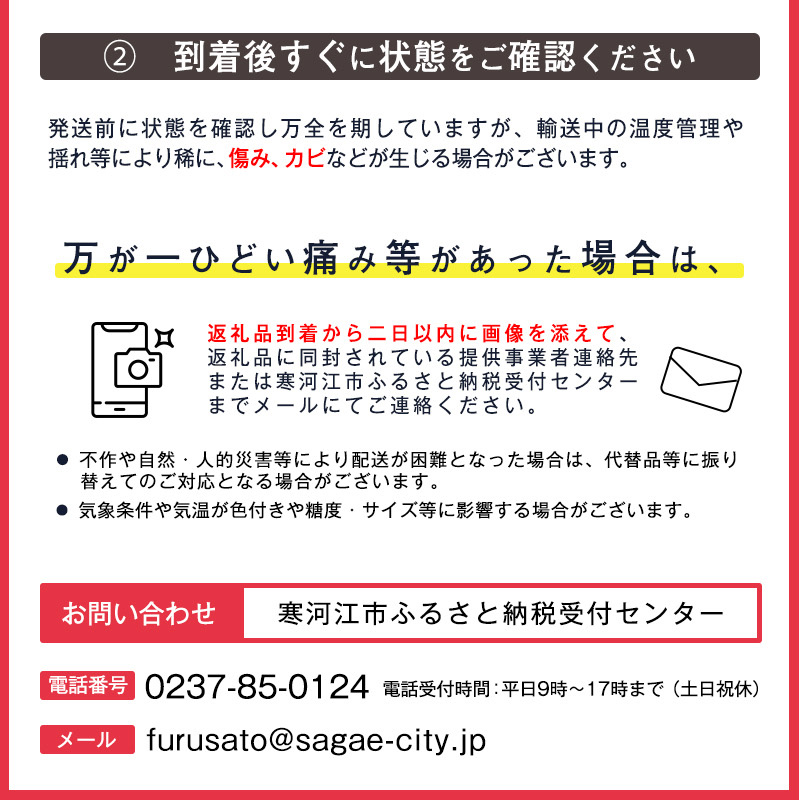 令和8年産 アールスメロン 2玉セット 秀品 Lサイズ （計3.5kg） 山形県産 【2026年9月中旬頃から10月下旬頃発送予定】　015-B-JA020