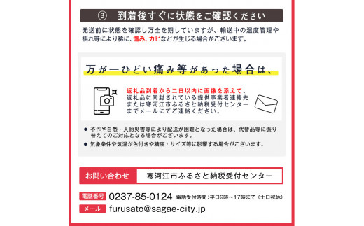 洋梨 「追熟 シルバーベル 」 6kg 秀品 （12 - 20玉） 秀品 山形産【2025年12月頃から2026年1月頃発送予定】　018-B-MM032 6kg （12 - 20玉）