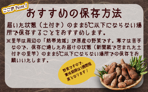 やまがた伝統野菜 「子姫芋（里芋）」5kg 《土付き》 山形県産 令和7年産 【2025年11月中旬頃から順次発送予定】　018-B-MM038 5kg 《土付き》