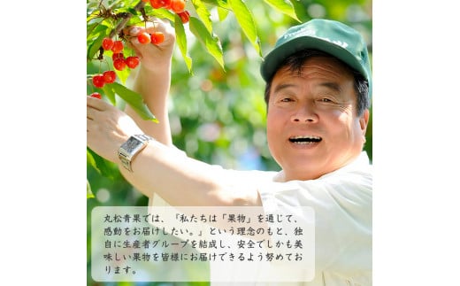 サンふじりんご ラ・フランス詰合せ 2.5kg 【2025年11月頃から2025年12月中旬頃発送予定】 012-B-MM072 詰合せ 2.5kg