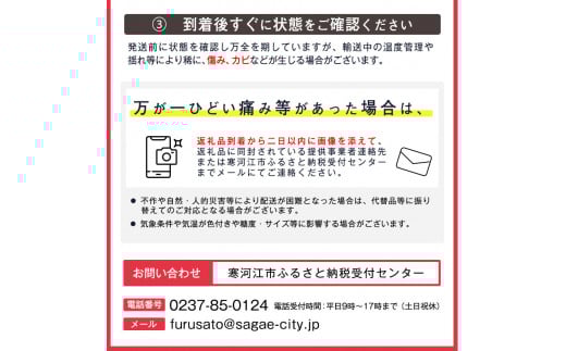 《訳あり》ご家庭用 ふじりんご 5kg 山形県産 2025年産 令和7年産 【2025年12月頃より順次発送予定】（フードロス対応・食品ロス・規格外・SDGs・生産者支援）　010-B-NG009 5kg