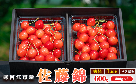 令和8年産 さくらんぼ「 佐藤錦 」600g (300g×2パック) 秀品 Lサイズ以上 2026年産 山形県産 【2026年6月上旬頃～下旬頃発送予定】※配送不可 沖縄・離島　020-A-AF001 600g (300g×2パック)