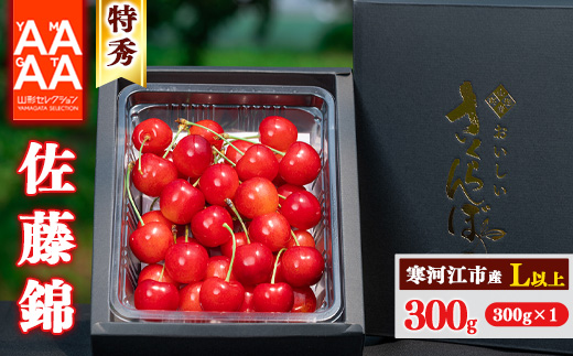 【先行予約】令和8年産 特秀品 さくらんぼ「 佐藤錦 」300g L以上 2026年産 山形県産 【2026年6月上旬頃～下旬頃発送予定】 ※配送不可 沖縄・離島 016-A-AF011 300g