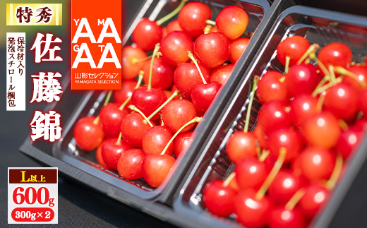 【先行予約】【保冷剤入り発泡スチロール梱包】 令和8年産 特秀品 さくらんぼ「 佐藤錦 」600g (300g×2) L以上 2026年産 山形県産 【2026年6月上旬頃～下旬頃発送予定】 ※配送不可 沖縄・離島 028-A-AF012