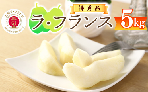 《先行予約》 【GI登録産品】 令和8年産 特秀品「山形ラ・フランス」5kg 《化粧箱入り》 L - 5L サイズおまかせ 山形県産 2026年産 【2026年11月中旬頃から12月末頃発送予定】　018-B-AF018 5kg 《GI認証》