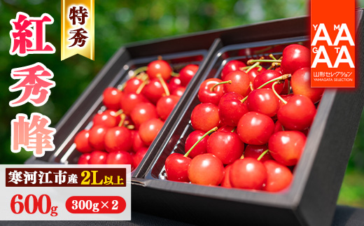 【先行予約】令和8年産 特秀品 さくらんぼ「 紅秀峰 」600g (300g×2パック) 2L以上 2026年産 山形県産 【2026年6月中旬頃～7月上旬頃発送予定】 ※配送不可 沖縄・離島 032-A-AF022