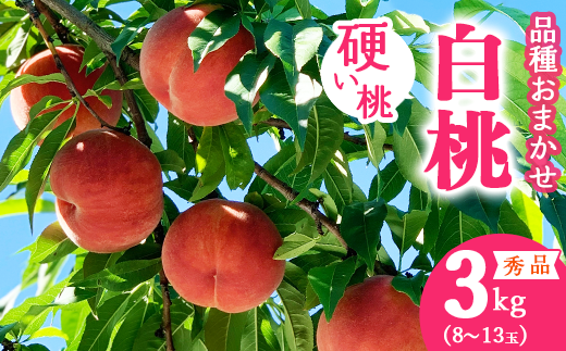 令和8年産 先行予約 有機質肥料栽培 硬めの 白桃 3kg（8～13玉） 秀品 品種おまかせ 山形県産 【2026年8月下旬頃～10月上旬頃発送予定】　016-B-AF025 3kg（8～13玉）
