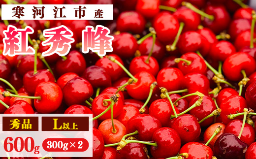 【先行予約】令和8年産 さくらんぼ「 紅秀峰 」600g(300g×2パック) 秀品 L以上 2026年産 山形県産 【2026年6月中旬頃～7月上旬頃発送予定】 ※配送不可 沖縄・離島 017-A-AF026 600g