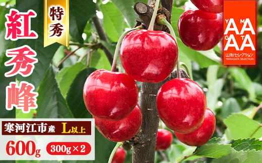 【先行予約】令和8年産 特秀品 さくらんぼ「 紅秀峰 」600g (300g×2パック) L以上 2026年産 山形県産 【2026年6月中旬頃～7月上旬頃発送予定】 ※配送不可 沖縄・離島 023-A-AF027