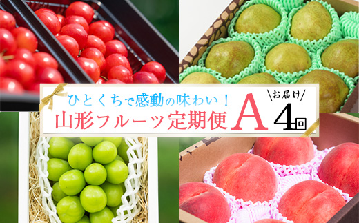 《先行予約》特秀品Aコース【定期便4回】 さくらんぼ 佐藤錦 白桃 シャインマスカット 洋梨 ラフランス 令和8年産 山形県産【2026年6月上旬頃から発送開始予定】※配送不可 沖縄・離島 　072-B-AF028 Aコース
